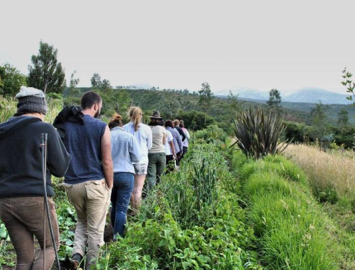 Students walking through a field in a single line